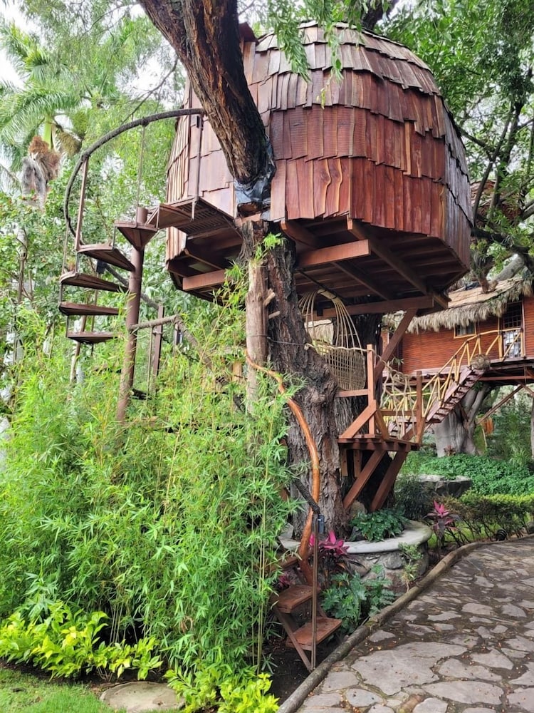Design Tree House photo 1