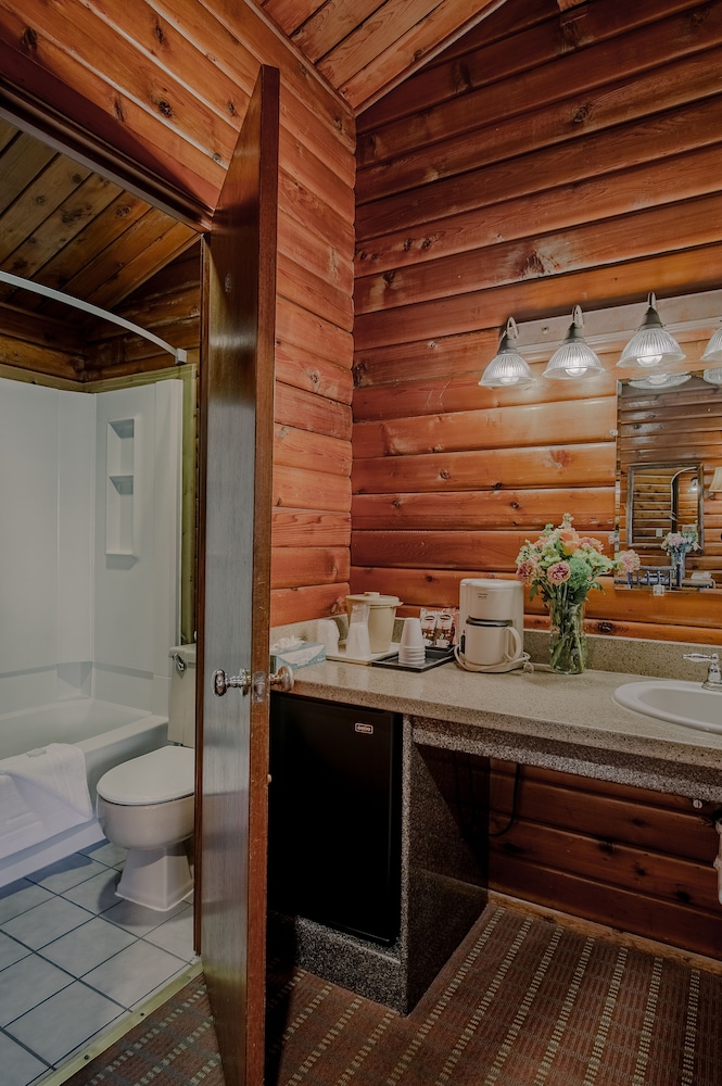 Traditional Single Room, 1 King Bed photo 2