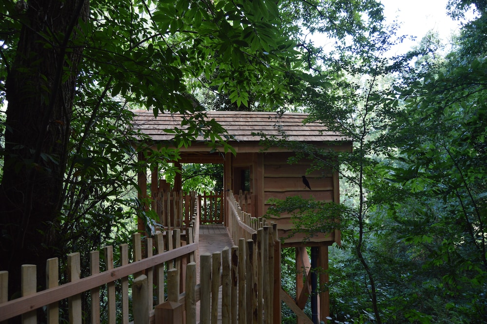 Cabin photo 2