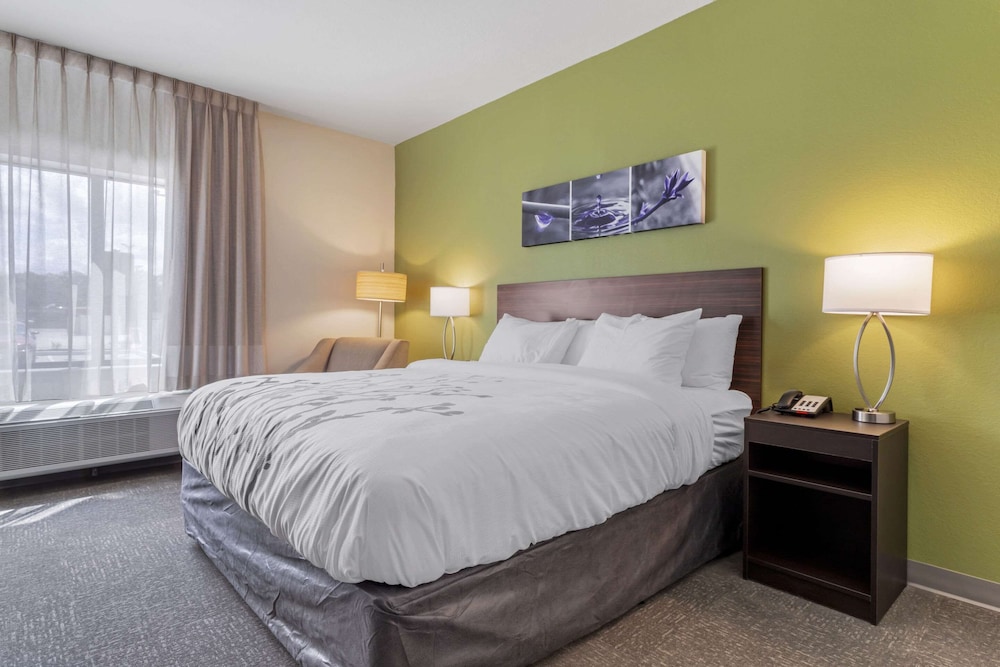 Standard Room, 1 King Bed, Non Smoking - Photo 1