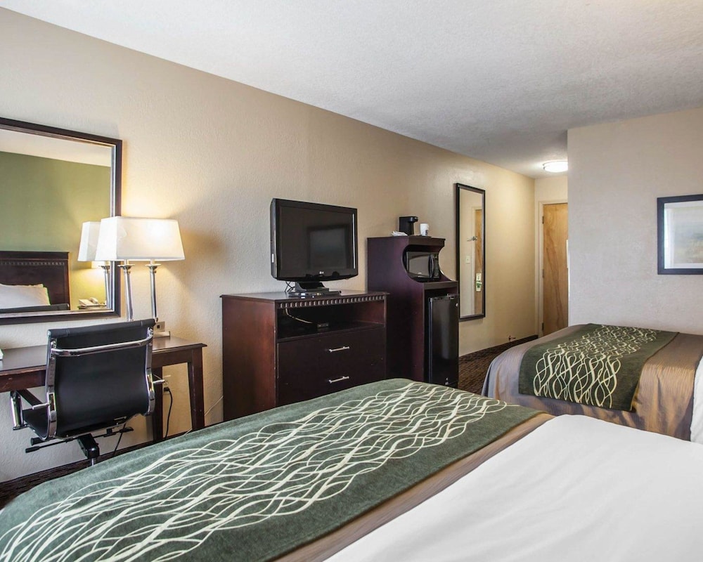 Room, 1 Queen Bed