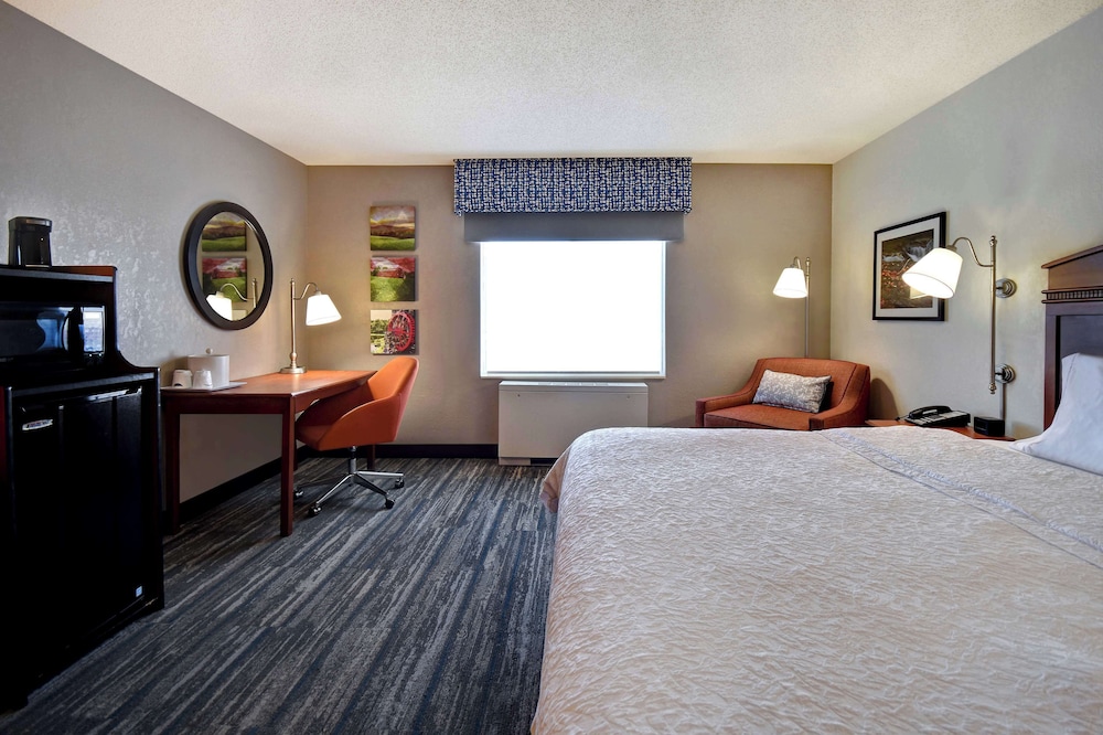 Room, 1 King Bed, Accessible (Mobility & Hearing, Roll-In Shower) photo 2