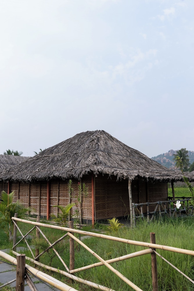 Elite Shared Dormitory
