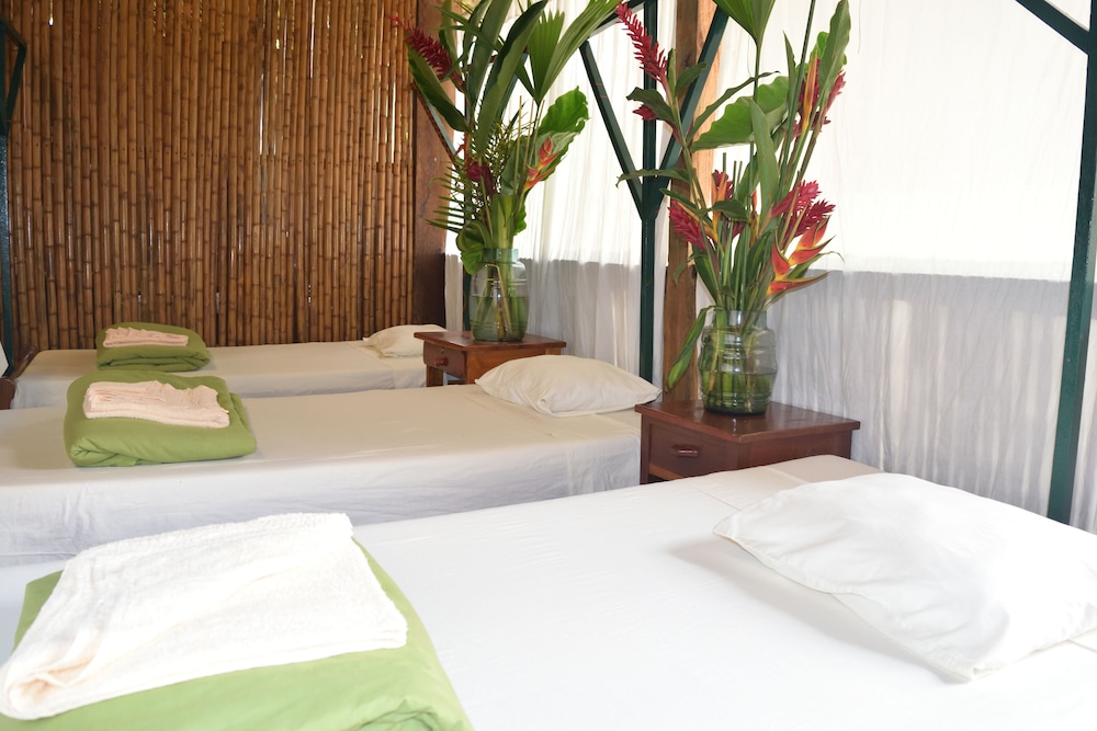 Traditional Room, 3 Twin Beds, Garden View, Garden Area photo 1