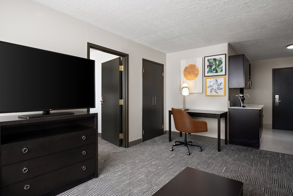 Suite, 1 King Bed, Accessible (Mobility, Accessible Tub) - Photo 4