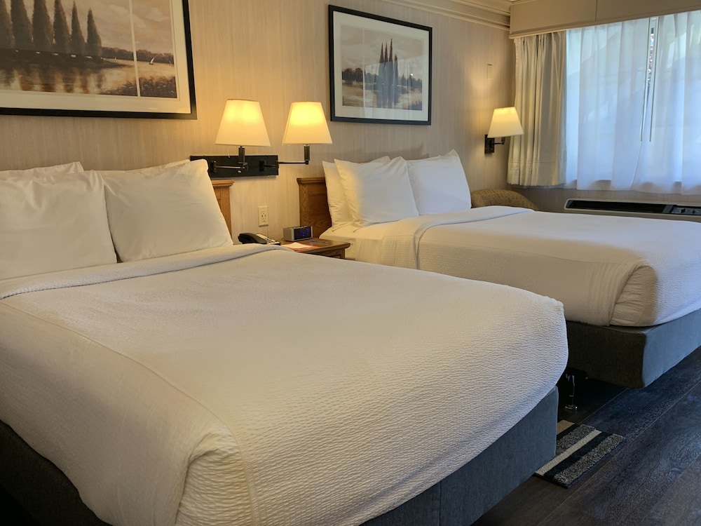Single Room, 2 Double Beds photo 2