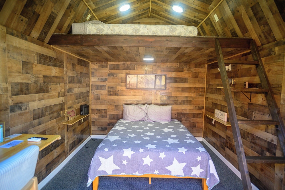 Economy Cabin