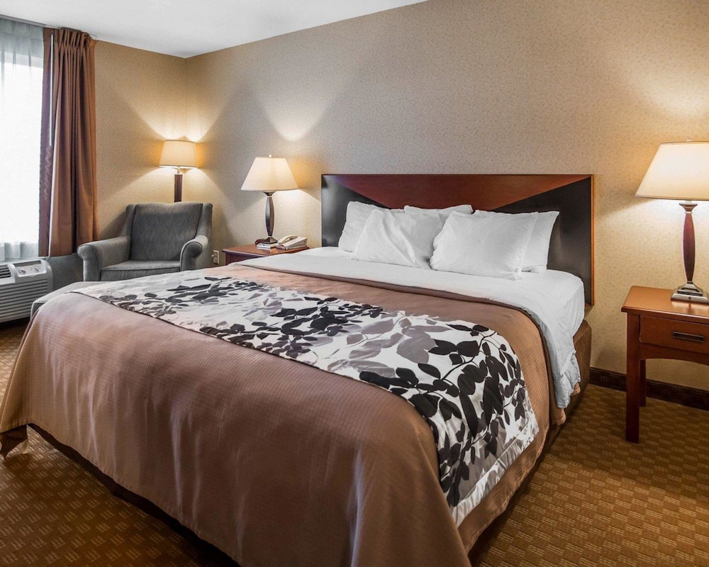 Standard Room, 1 King Bed, Non Smoking - Photo 3