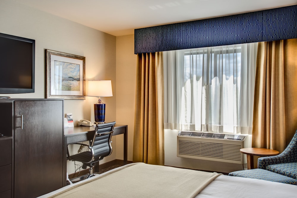 Standard Room, 1 Queen Bed, Roll-in Shower (Communications Accessible)