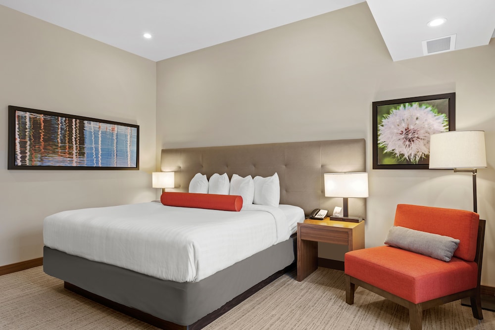 Standard Room, 1 King Bed, Accessible, Bathtub photo 3