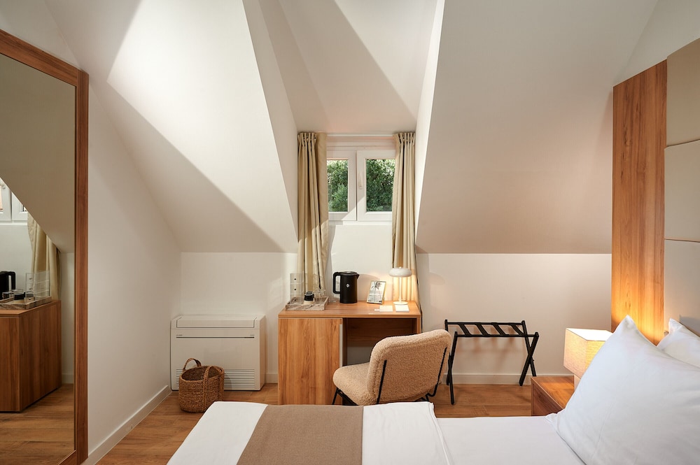 Deluxe Double Room photo 2