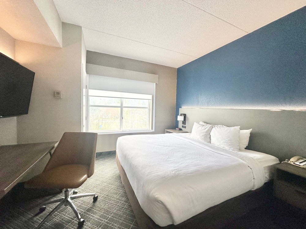 Business Room, 1 King Bed, Accessible, Non Smoking - Photo 9