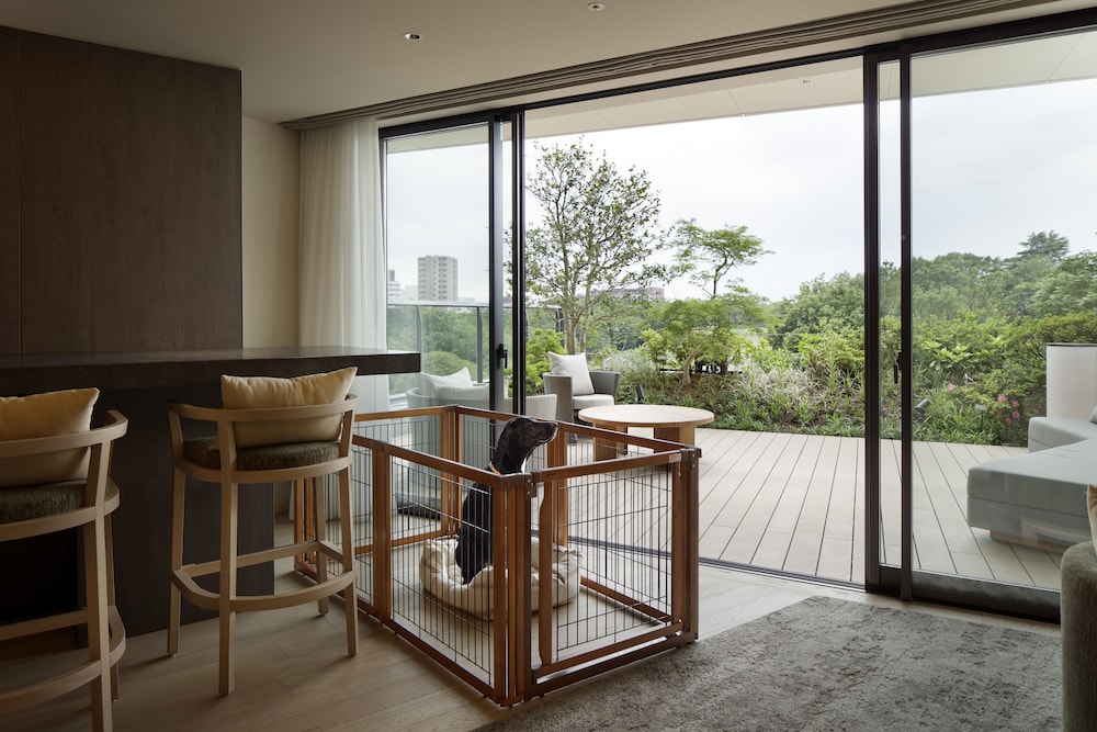 Dog-Friendly Spa Suite - Photo 6