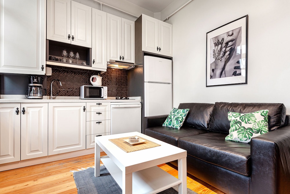 Classic Apartment photo 2