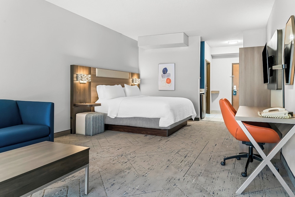 Suite, 1 King Bed with Sofa bed photo 1