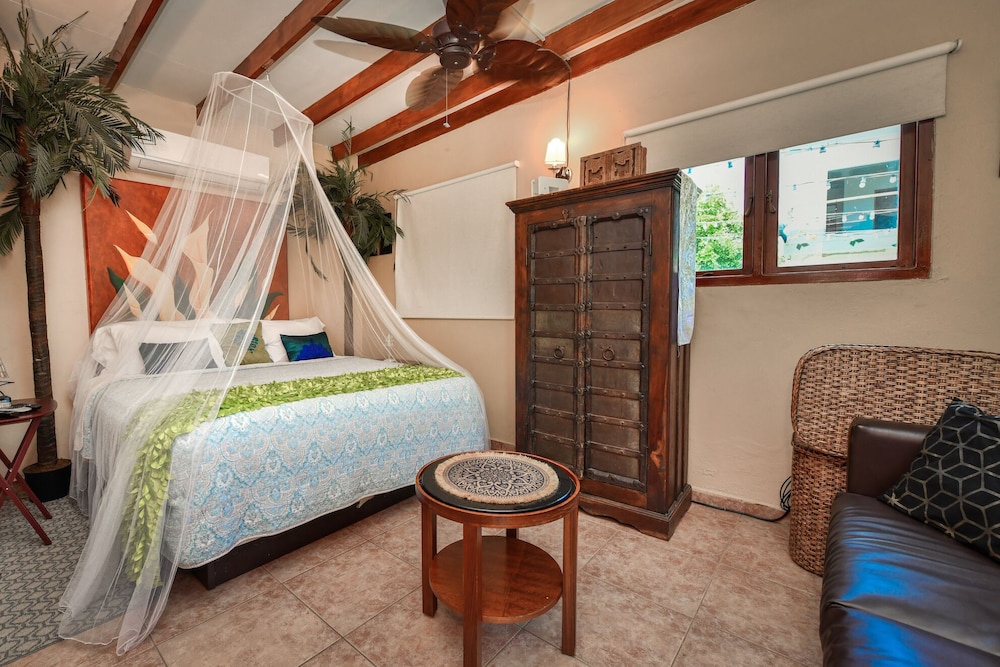 Junior Studio Suite, 1 Queen Bed, Private Bathroom, Garden View