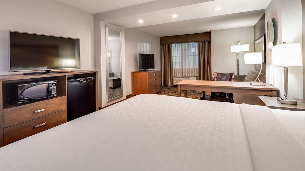 Standard Room, 1 King Bed, Non Smoking, Refrigerator & Microwave (Larger Room;with Sofabed) - Photo 2