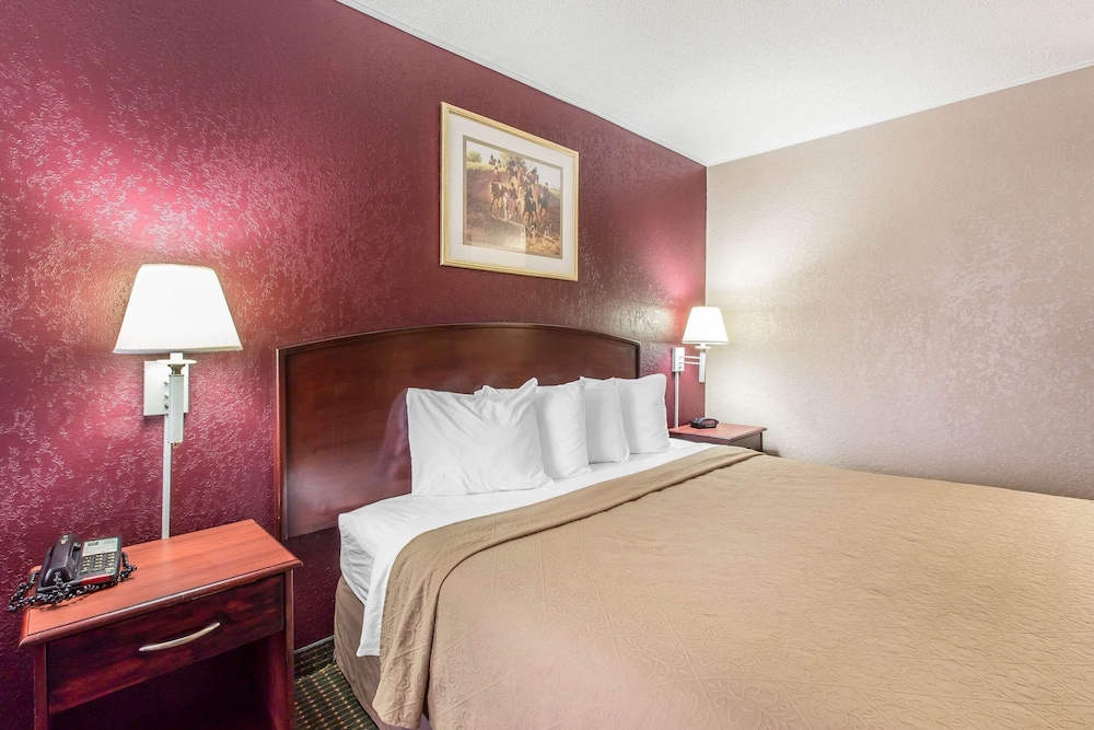 Room, 1 King Bed, Accessible, Non Smoking (Lake View) - Photo 1