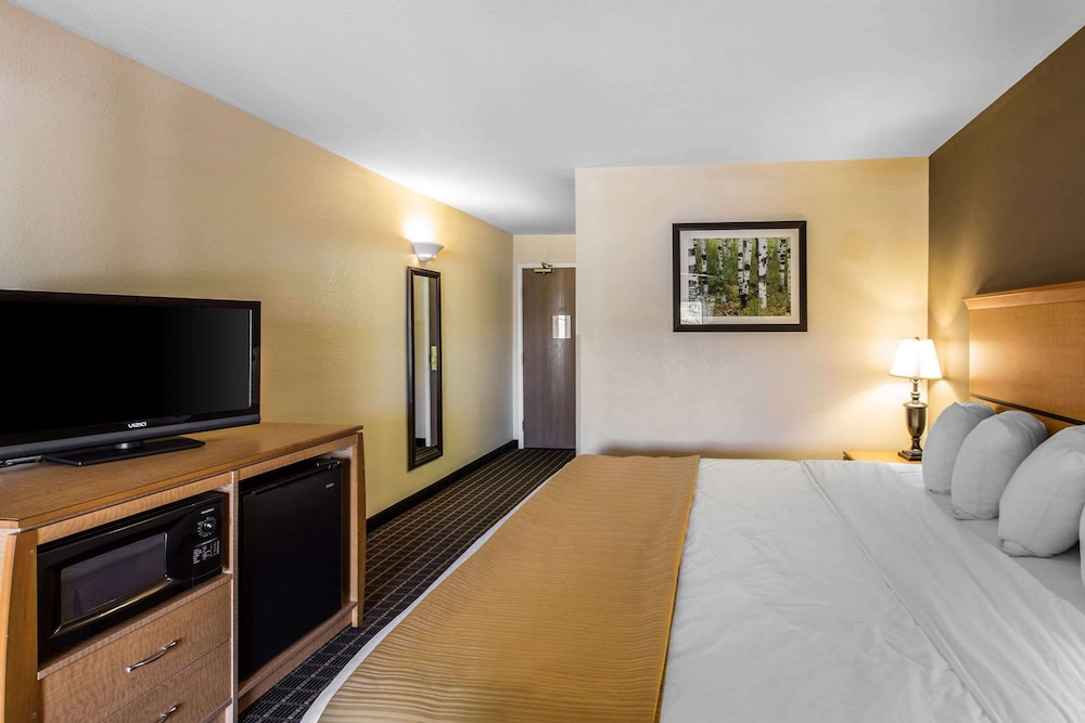 Suite, 1 King Bed with Sofa bed, Non Smoking (Efficiency) - Photo 3