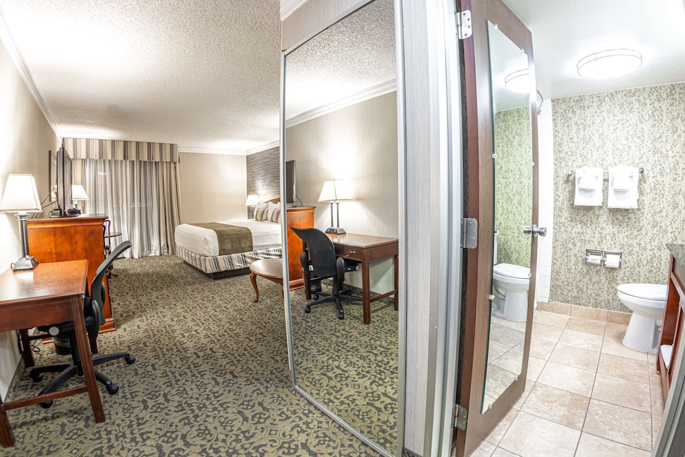 Standard Room, 1 King Bed, Non Smoking, Refrigerator & Microwave (with Sofabed)