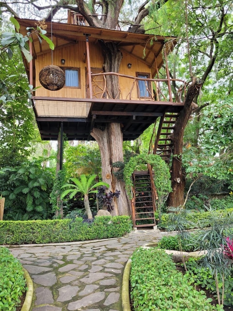 Comfort Tree House photo 1