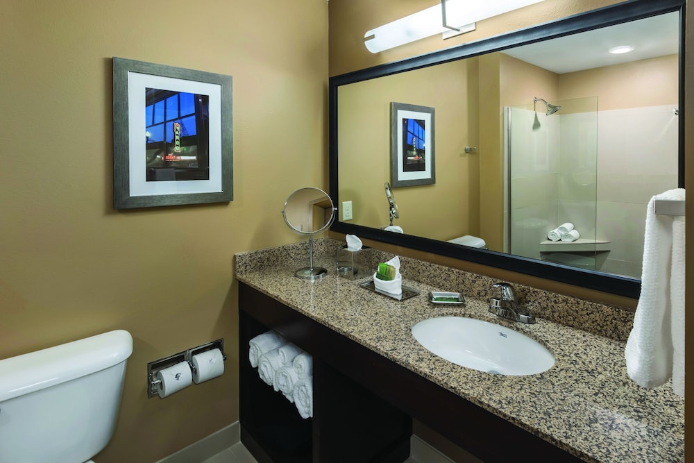 Suite, 1 King Bed (Walkout) photo 3