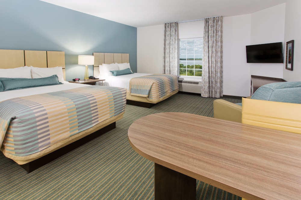 Studio Suite, 2 Queen Beds, Accessible (Roll-In Shower) photo 1