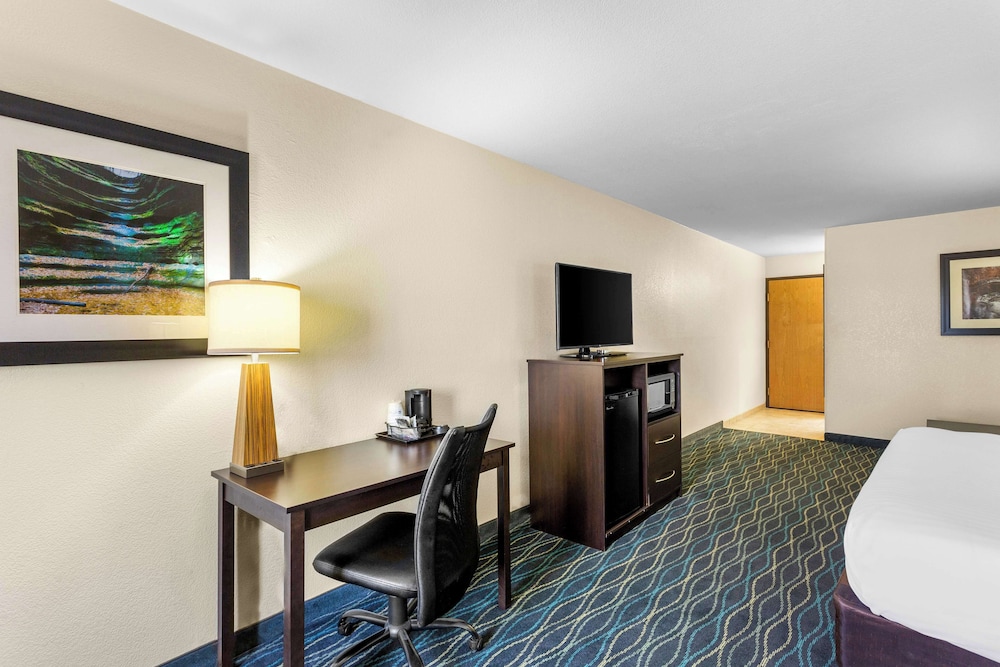 Standard Room, 1 King Bed, Non Smoking, Refrigerator & Microwave (Larger Room) - Photo 3