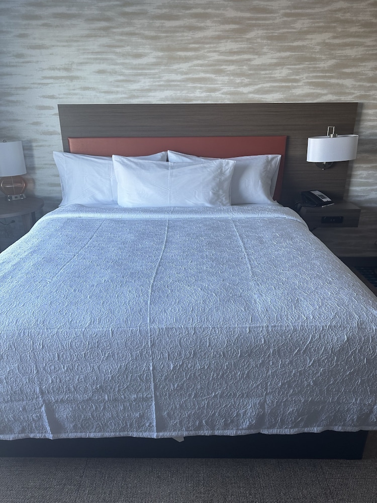 Suite, 1 Bedroom - Photo 1