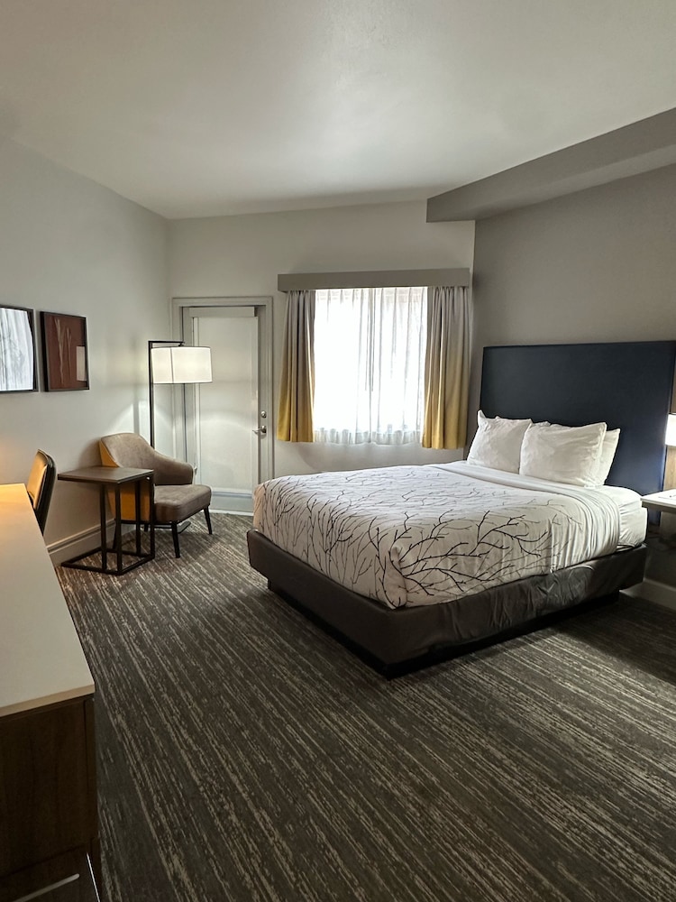 Standard Room, 1 King Bed, Non Smoking, Kitchenette (Shower Only)