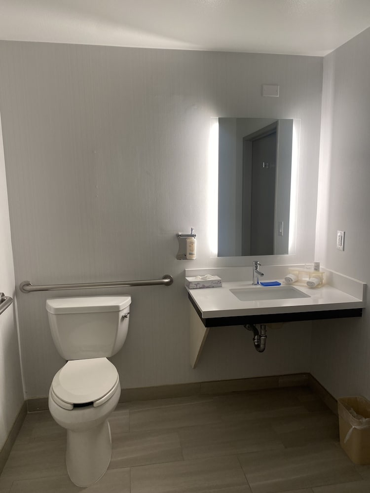Standard Room, 1 King Bed, Accessible (Accessible Tub) - Photo 6