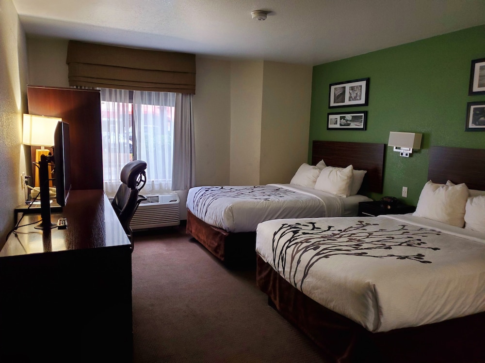 Standard Double Room, 2 Double Beds, Non Smoking - Photo 1