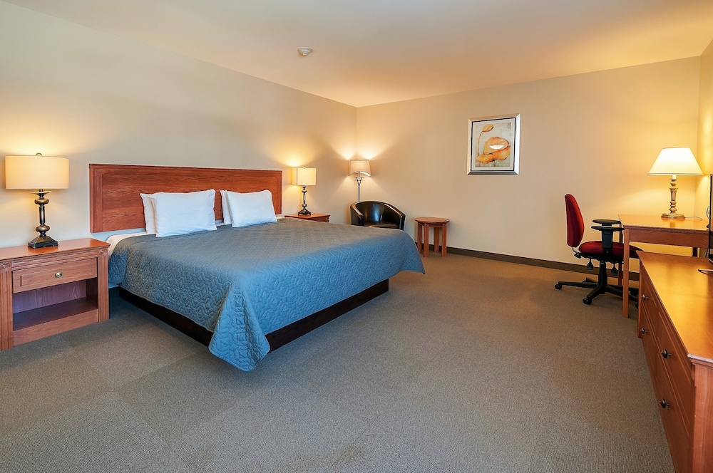 Deluxe Room, 1 King Bed photo 1