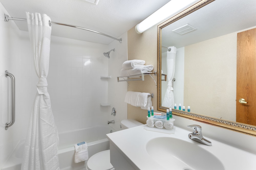 Standard Room, 1 King Bed, Accessible (Communications) - Photo 3