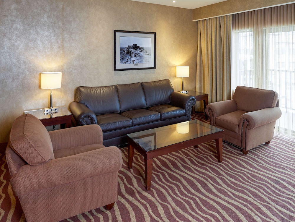 Deluxe Suite, 1 King Bed, Non Smoking, Refrigerator & Microwave (With Sofabed) photo 2