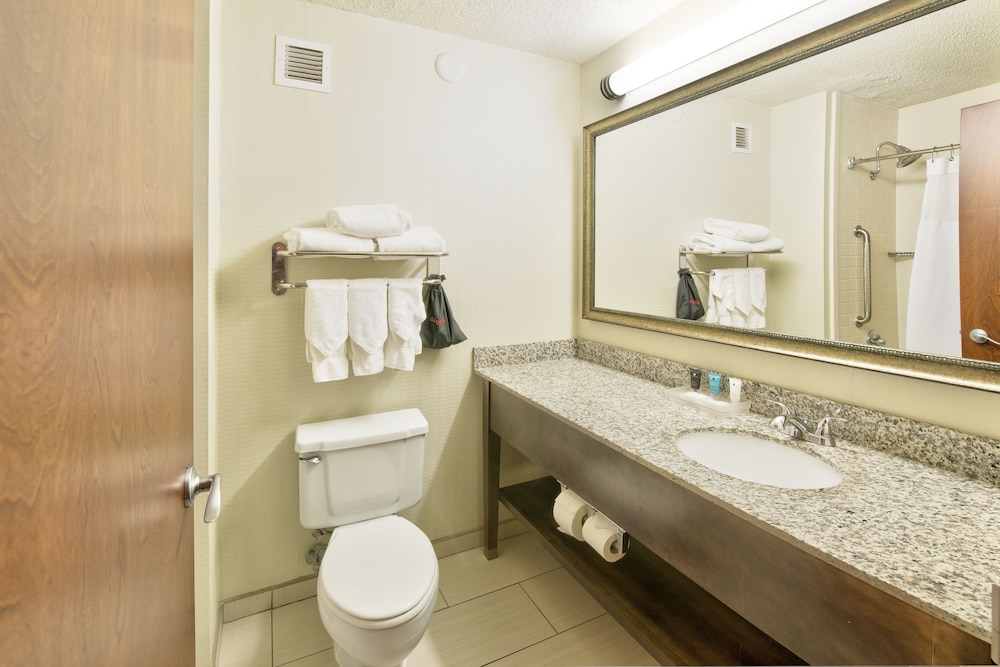 Premium Room, 1 King Bed, Roll-in Shower, Non Smoking (Communications, Roll-In Shower) - Photo 5