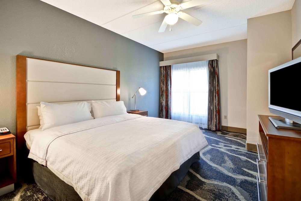 Suite, 1 King Bed