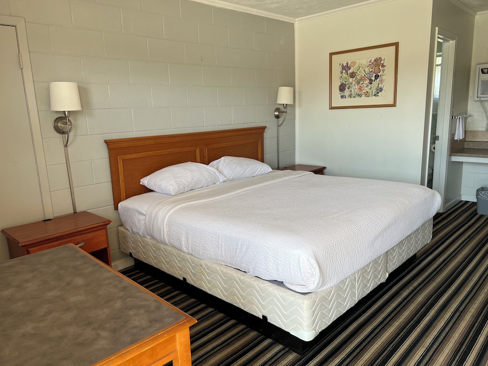 Basic Single Room
