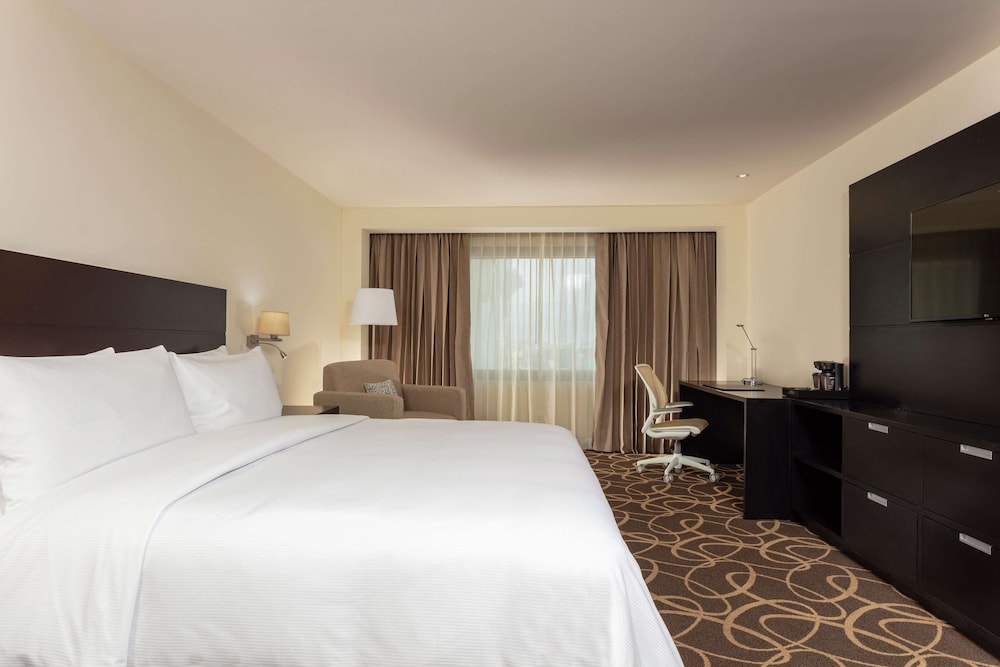 Suite, 1 King Bed - Photo 5