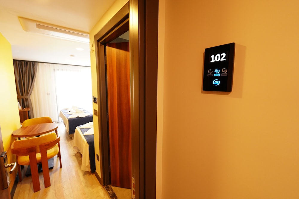 Deluxe Double or Twin Room photo 3