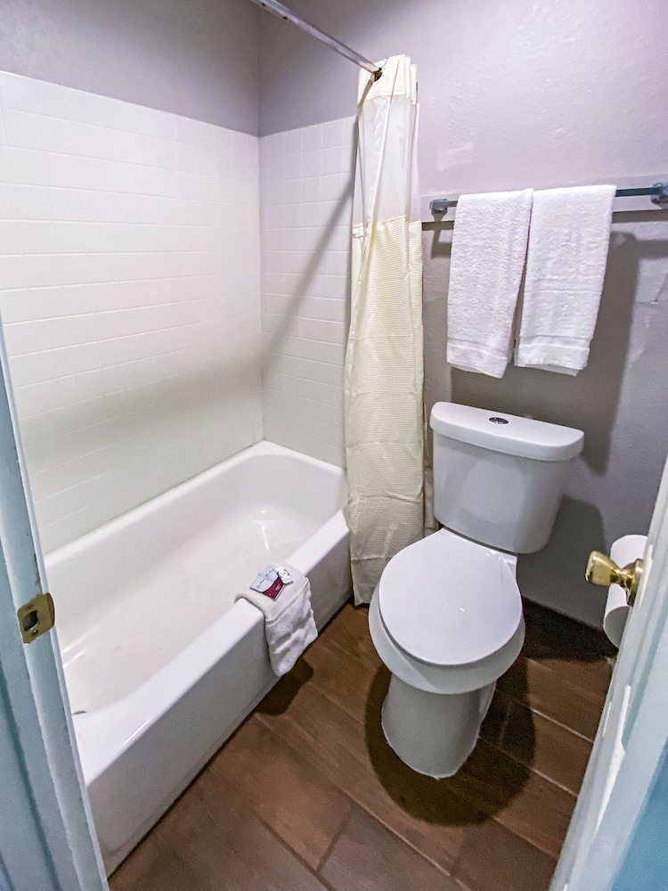 Deluxe Single Room photo 2