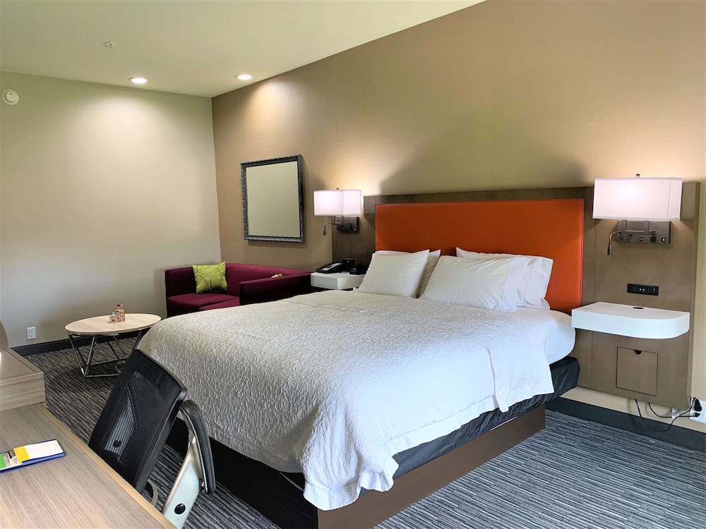 Room, 1 King Bed, Non Smoking photo 1