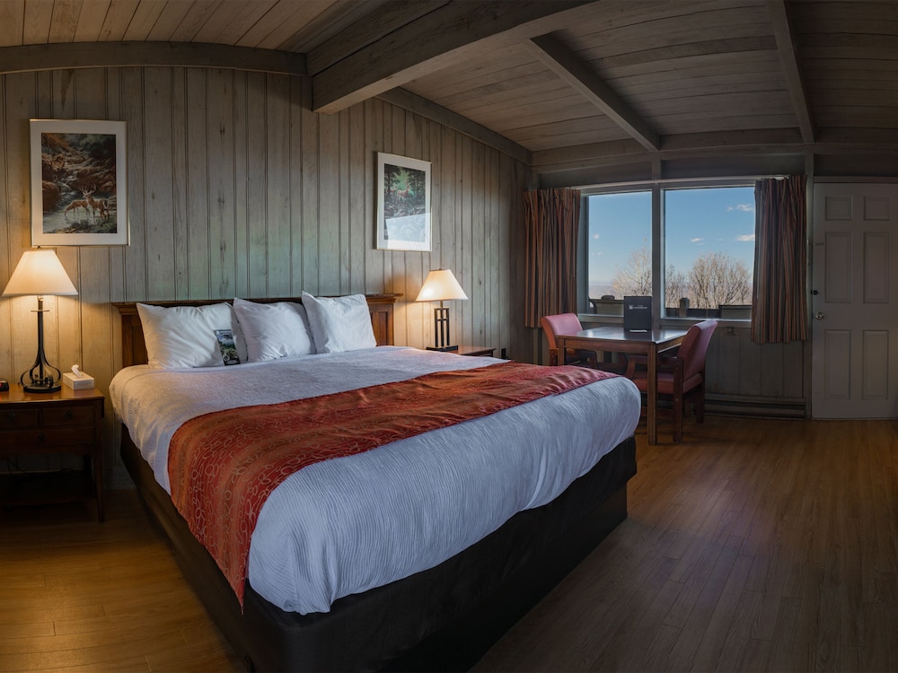 Premium Room, 1 King Bed (Accessible) - Photo 1