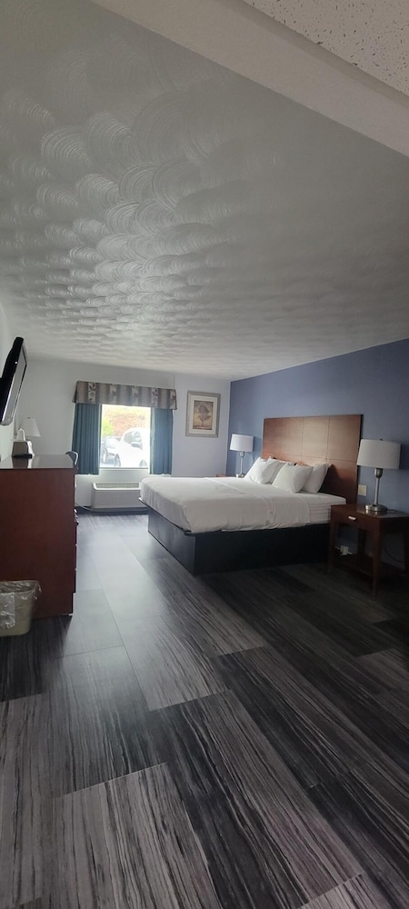 Basic Single Room photo 1
