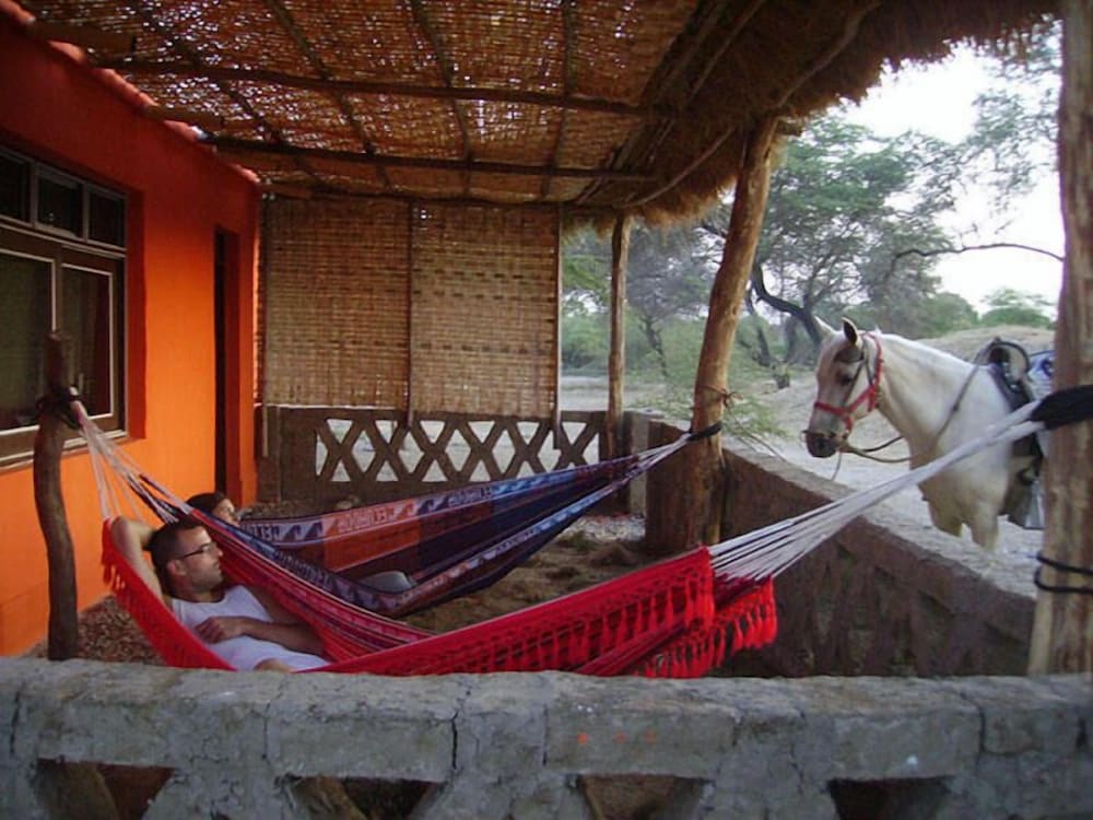 Basic Cabin, Multiple Beds, Smoking, Garden View photo 1