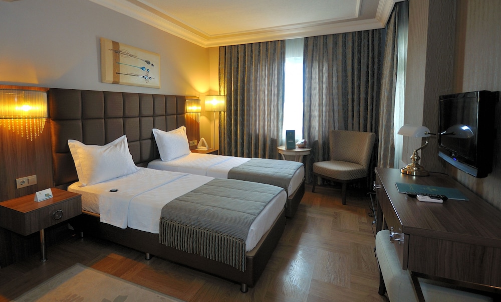 Executive Room photo 2