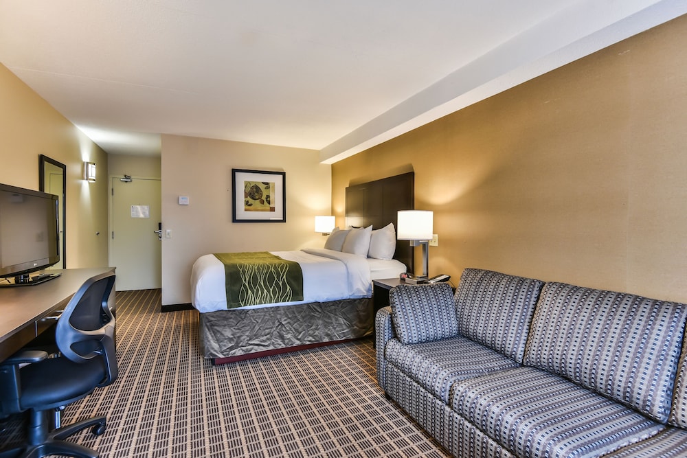 Comfort Care, Standard Room, 1 Queen Bed with Sofa bed - Photo 4