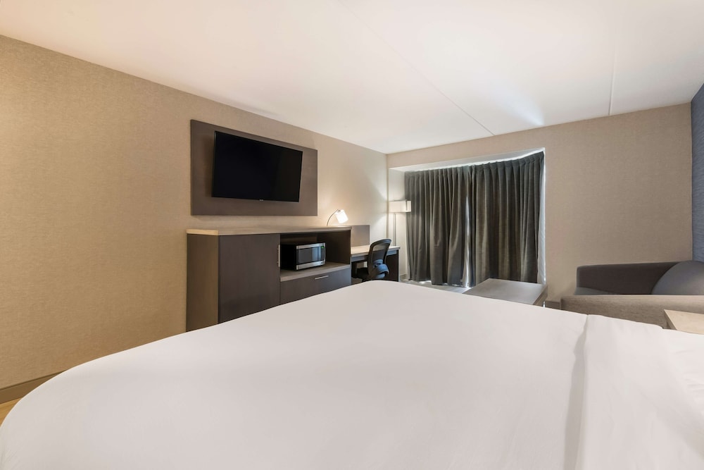 Executive Room, 1 King Bed, Non Smoking (with Sofabed) - Photo 3