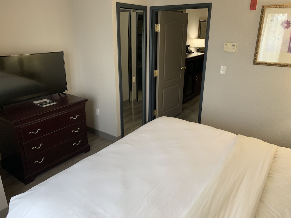 Suite, 1 King Bed with Sofa bed, Non Smoking (1 Kingbed) - Photo 6