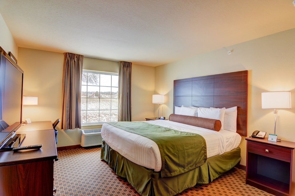 Accessible King Guestroom with Wheel-in Shower photo 3